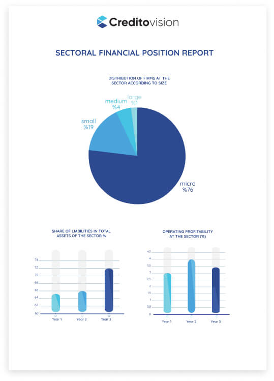 Sectoral Financial Position