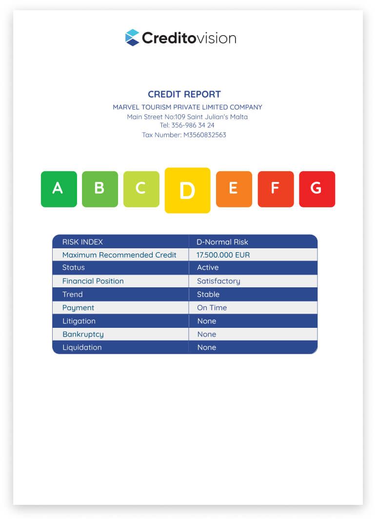 Credit Report 1
