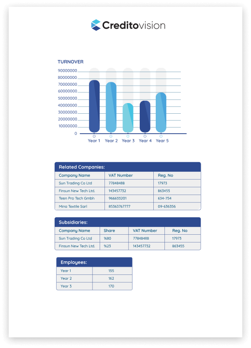 Credit Report 2