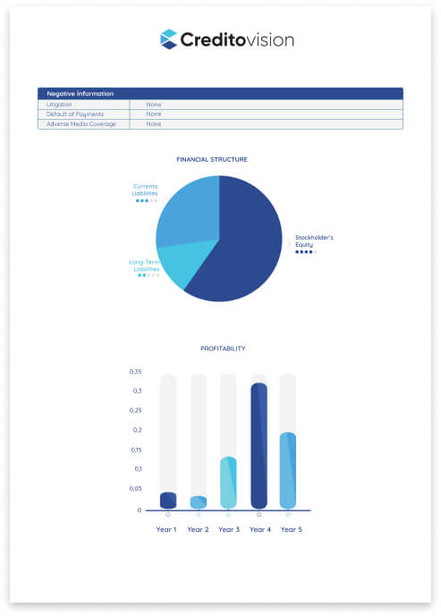 Credit Reports 1