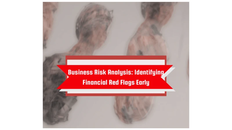 Business Risk Analysis: Identifying Financial Red Flags Early