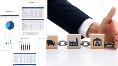 Supplier Risk Assessment: Protect Your Supply Chain from Financial Failure